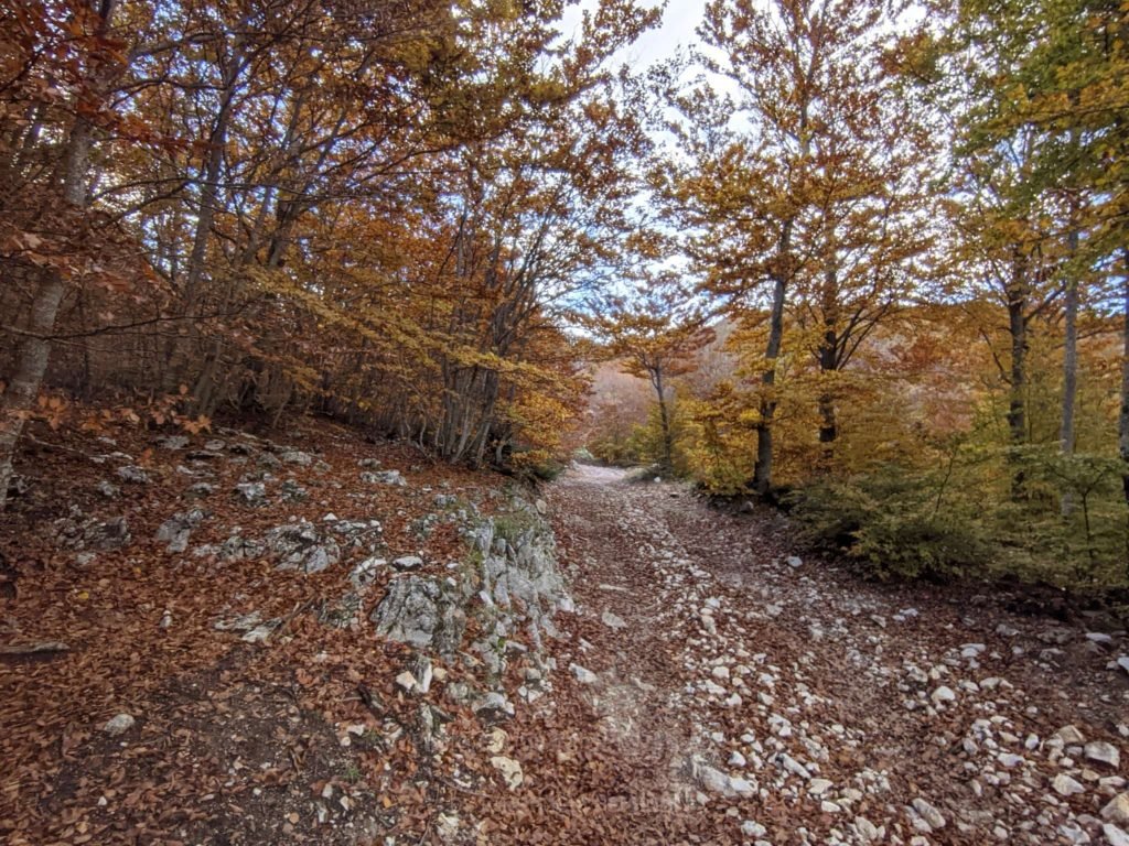 sentiero autunnale workshop fotografico nei monti sibillini